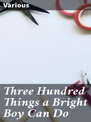 cover image of Three Hundred Things a Bright Boy Can Do